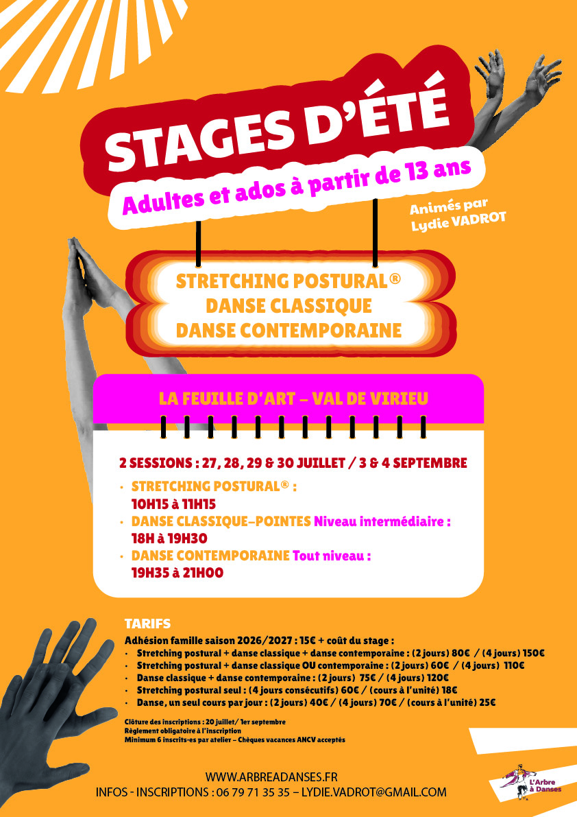 Stage ete 2026